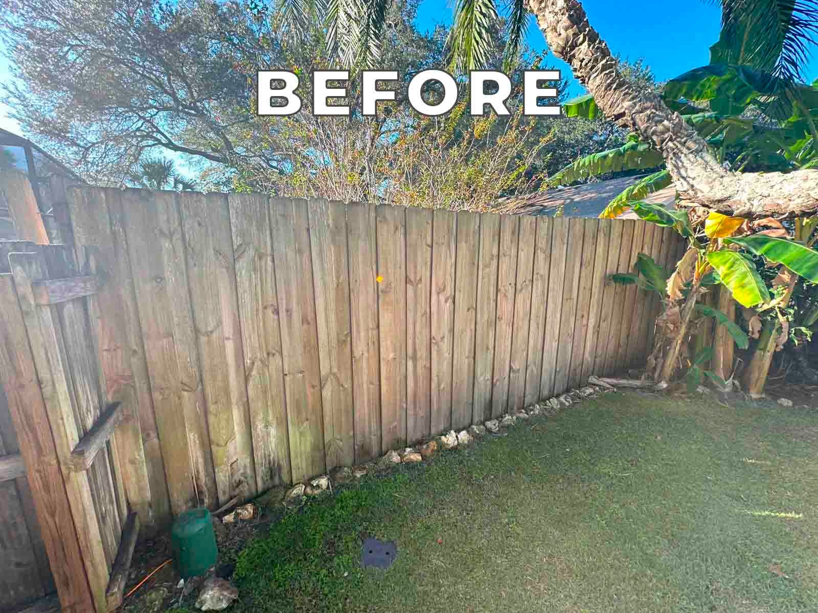Before Fence